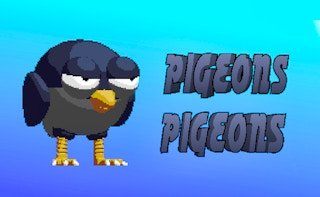Image Pigeons Pigeons